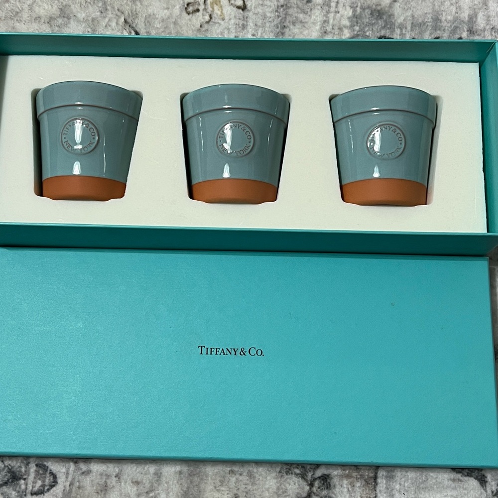 Tiffany & Co. small flower‎ pot